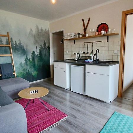 דירות זקופאנה Apartament Bazatatry Sloneczny II מראה חיצוני תמונה