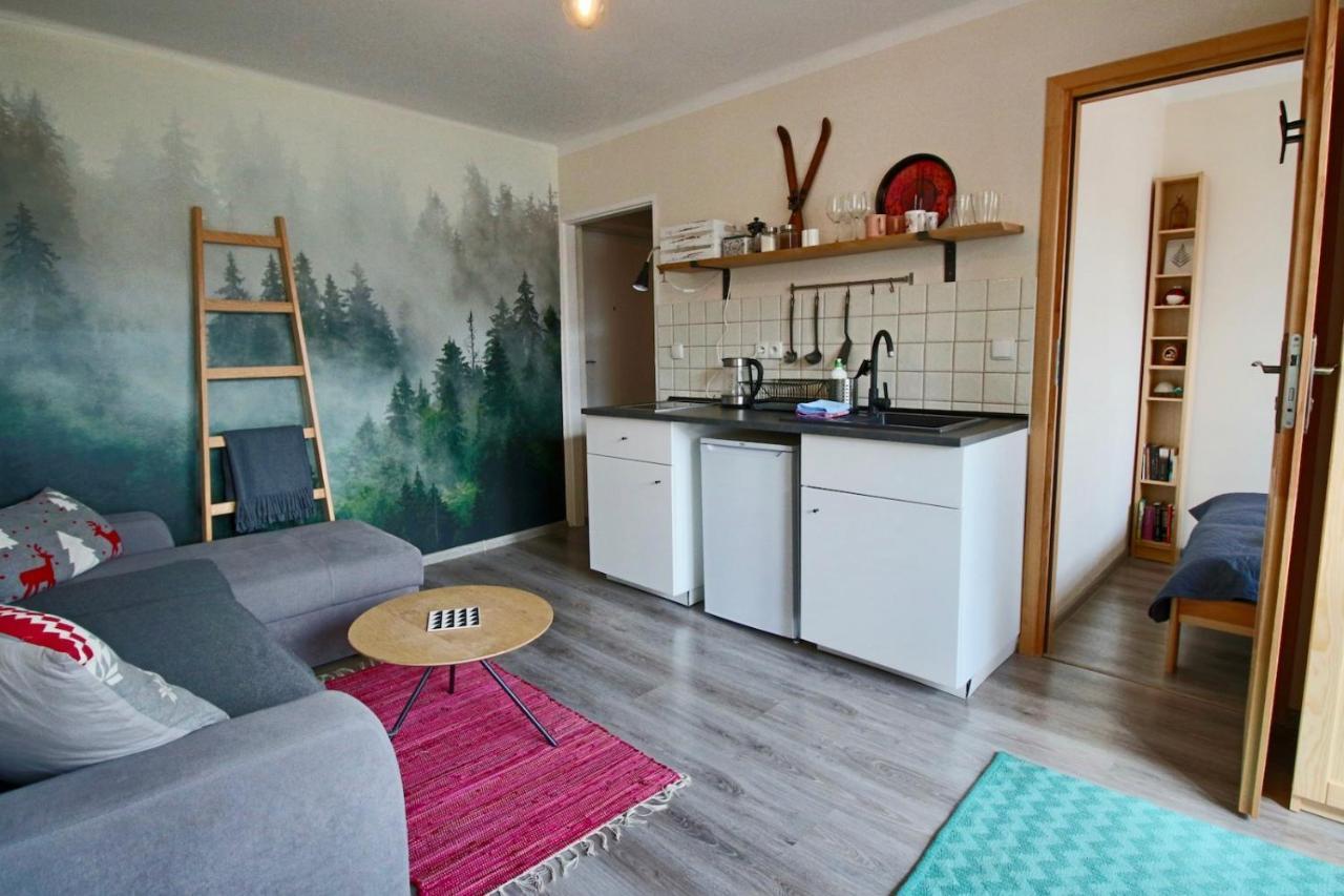 דירות זקופאנה Apartament Bazatatry Sloneczny II מראה חיצוני תמונה