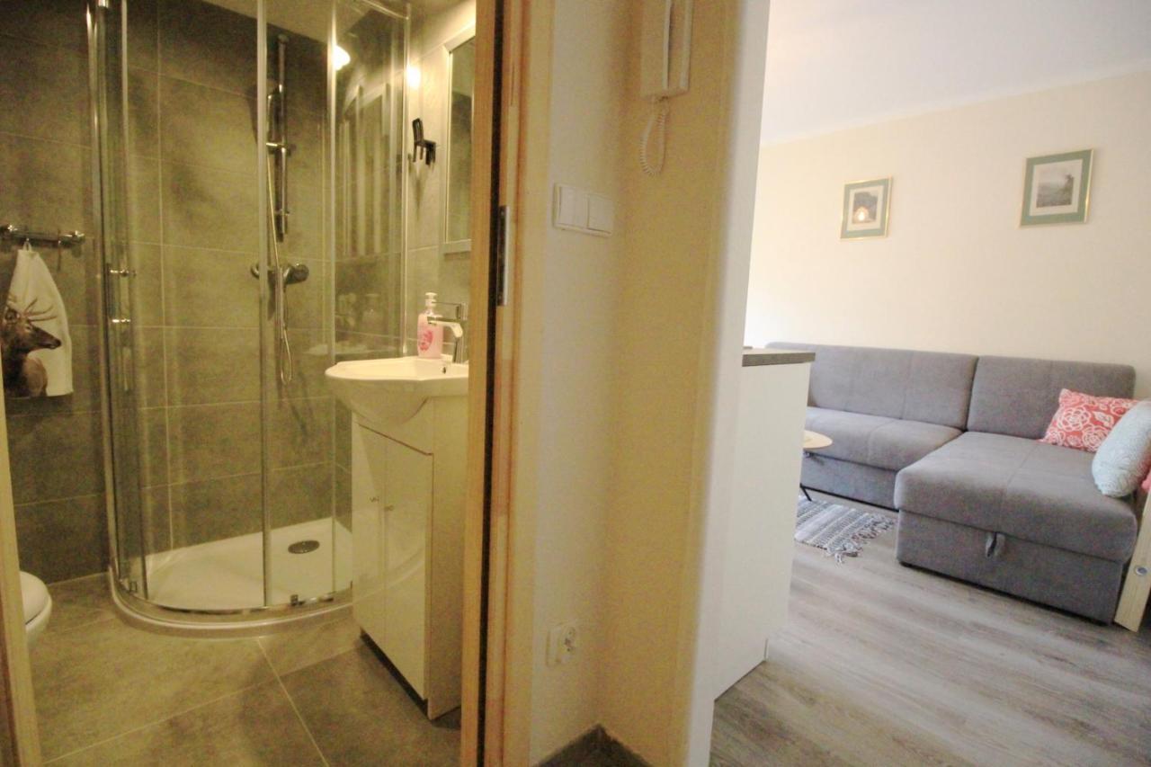 דירות זקופאנה Apartament Bazatatry Sloneczny II מראה חיצוני תמונה